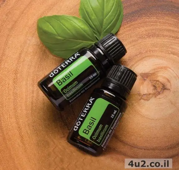 בזיליקום, שמן אתרי טהור