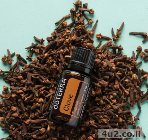 ציפורן, שמן אתרי טהור, 15 מ"ל