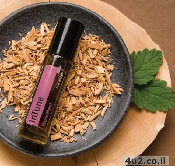 בפוקוס, תערובת למיקוד, 10 מ"ל