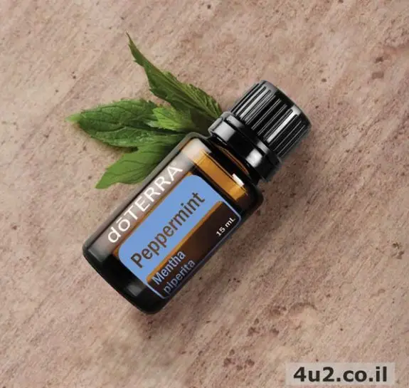 מנטה, שמן אתרי טהור, 15 מ"ל