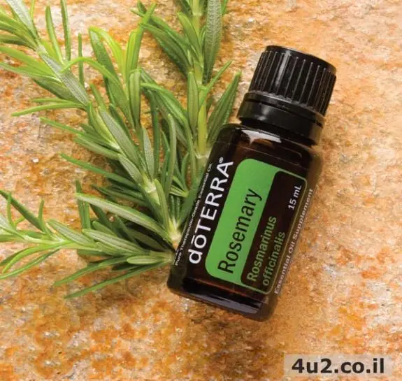 רוזמרין, שמן אתרי טהור, 15מ"ל