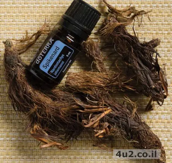 שיבולת נרד, שמן אתרי טהור, 5 מ"ל