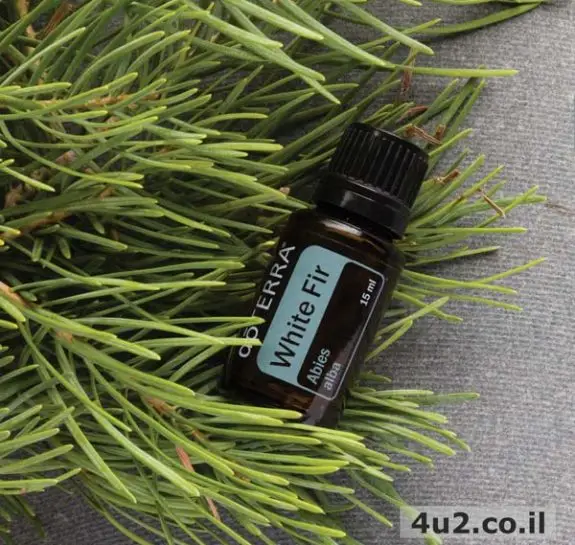 אשוח לבן, שמן אתרי טהור, 5 מ"ל