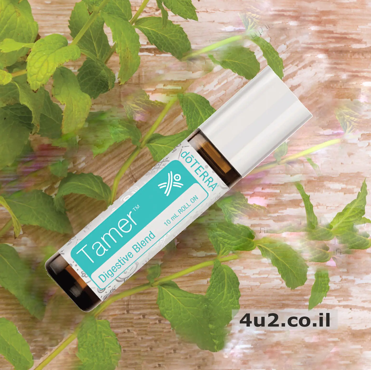 מאלפת, תערובת לבטן, 10 מ"ל