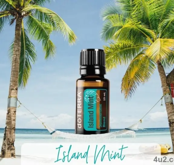 מנטת האי, תערובת מרעננת