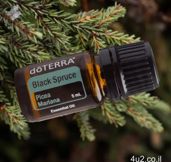 אשוחית שחורה, שמן אתרי טהור, 5 מ"ל