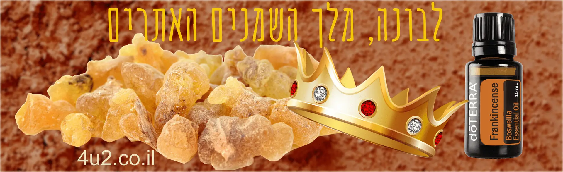 לבונה מלך השמנים