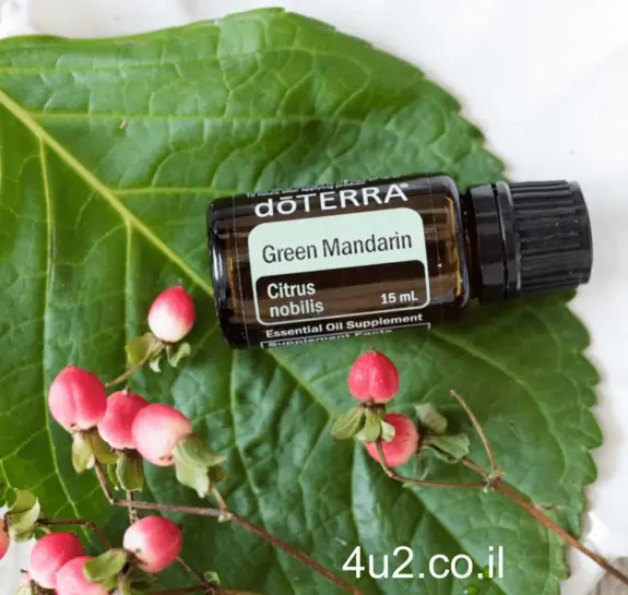 מנדרינה ירוקה