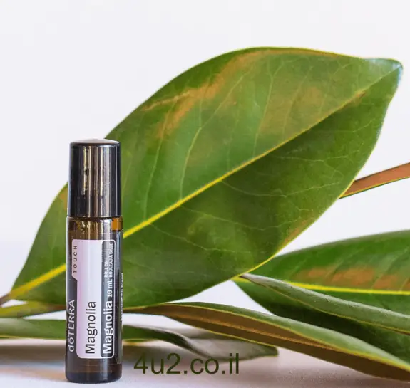 מגנוליה טאץ'