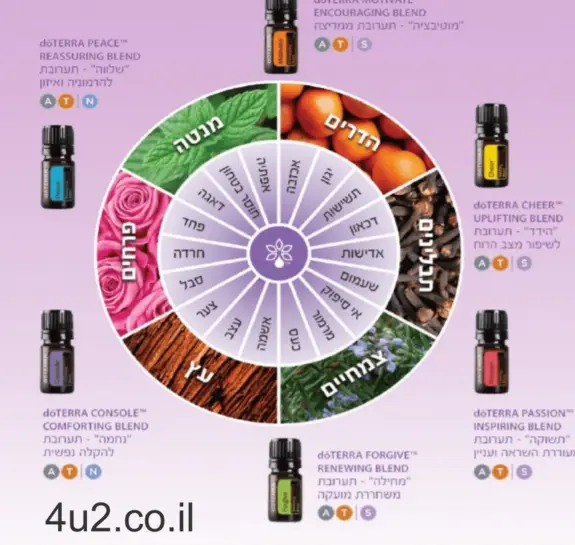 גלגל הרגשות, מפת תרגול