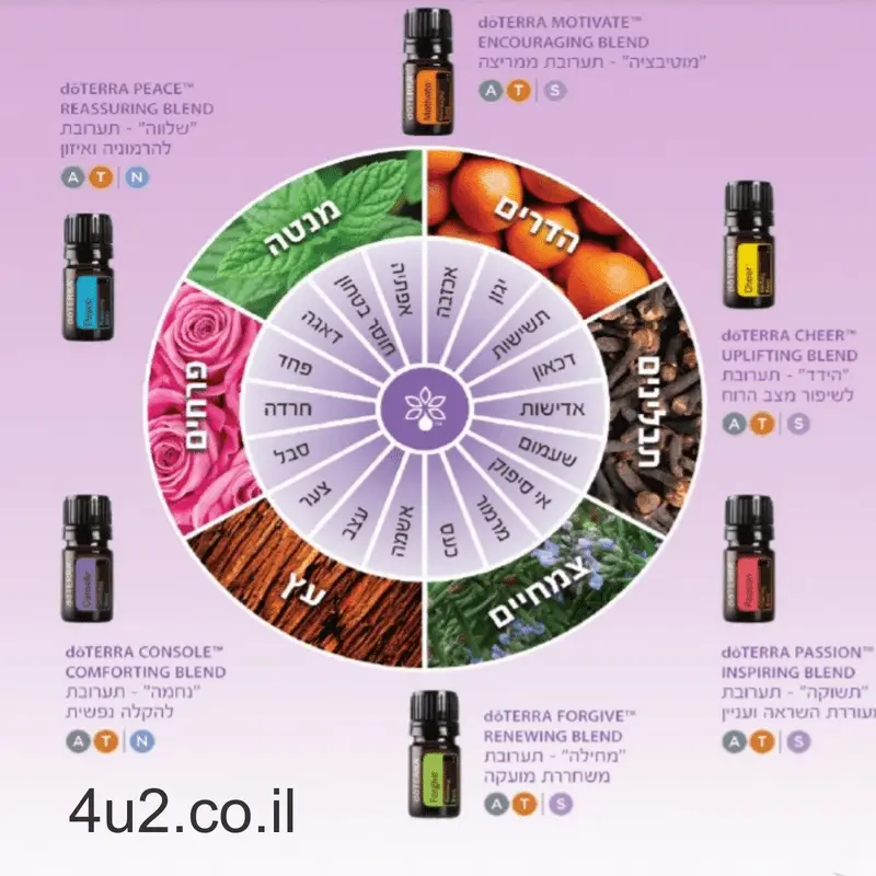 גלגל הרגשות, מפת תרגול