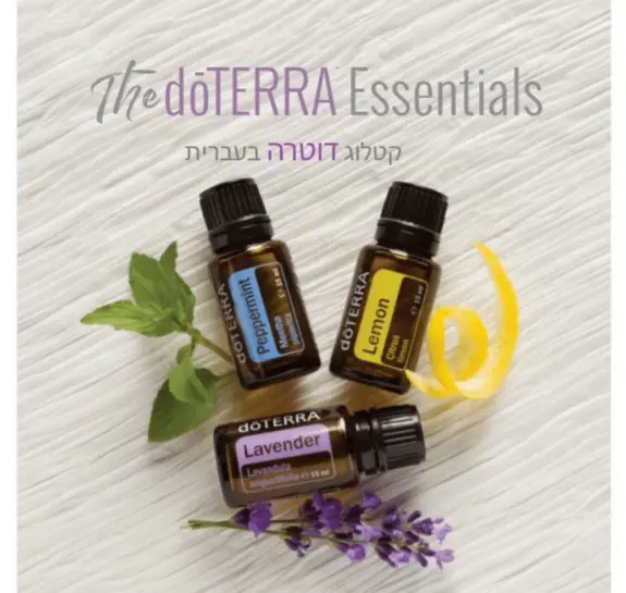 מארז 10 קטלוגים של דוטרה בעברית