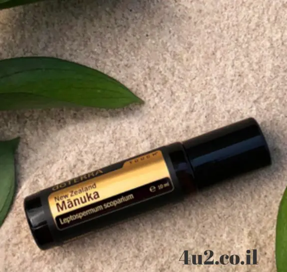 מנוקה, שמן אתרי