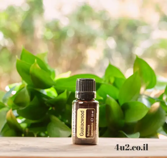 גאויק-ווד, שמן אתרי