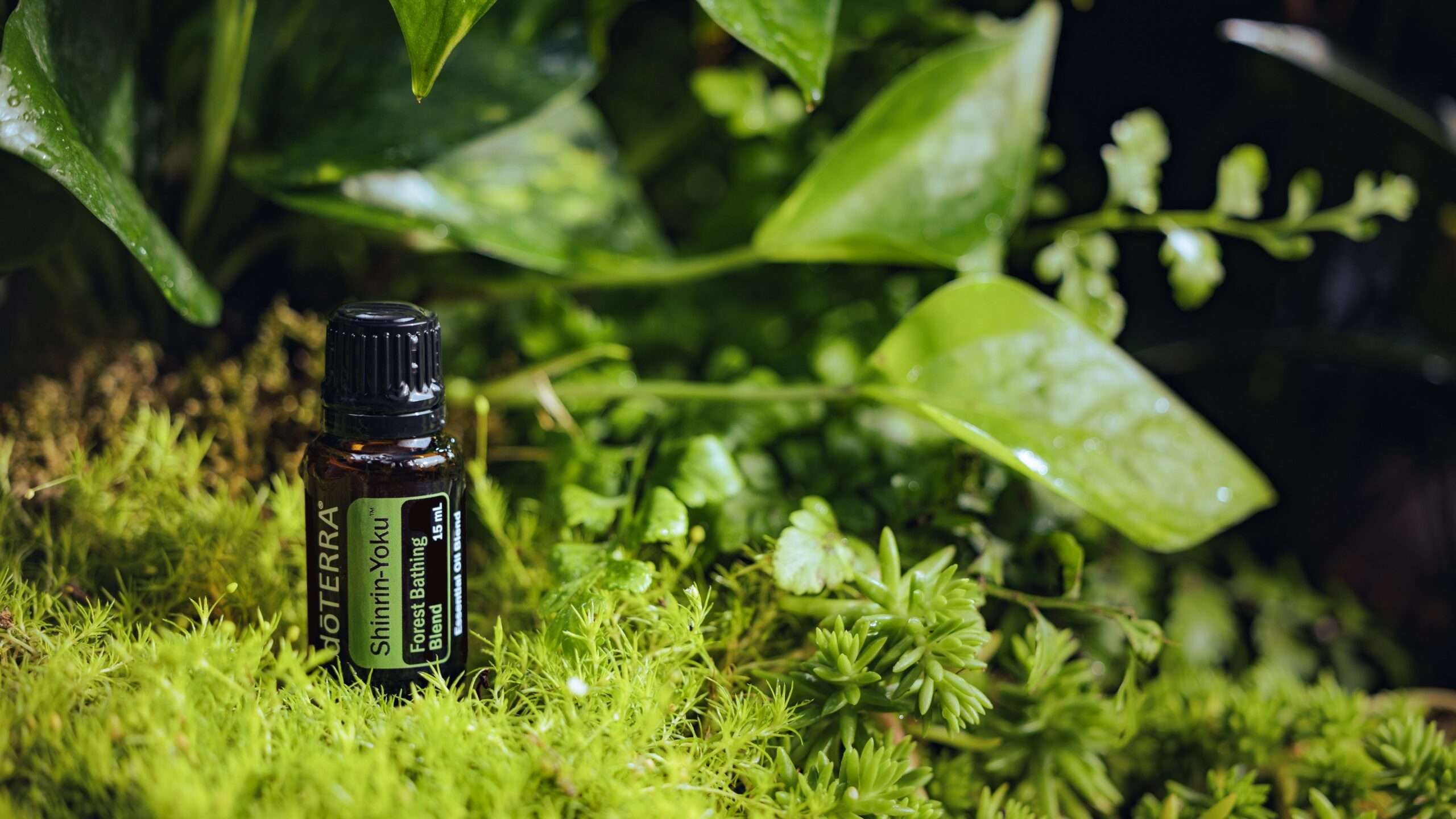 shinrin-yoku-forest-bottle-15ml